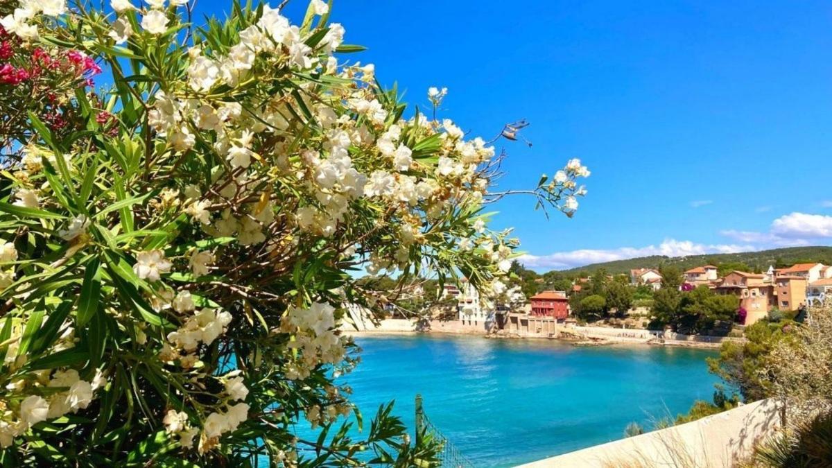 Superbe Appartement En Bord De Mer Бандол Екстериор снимка